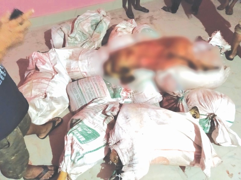 The slaughtered pig carcasses, which were being smuggled into Dimapur from Assam, confiscated by the Kilo Ministry of the NSCN (IM) on August 14.